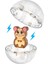 Magnatiles Hamster Ball 13PC 252013HB 4