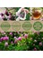 Red Clover Blossom 400 mg, Kırmızı Yonca Leaf Flower Traditional Support Certified Authentic Tru-Id™ 4