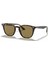 RB4258 710/73 50 Unisex Güneş Gözlüğü 1