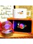 3D Satürn Kız Renkli Işıklı Kristal Küre ve Kutulu Kupa Seti 1