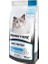 Adult Cat Hamsili Yetişkin Kedi Maması 10 Kg 2