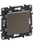 768501 Raventi Bronz Vavien 1