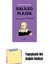 Galileo Plajda + Yapışkanlı Not Kağıdı 1
