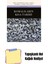 Romalıların Kısa Tarihi + Yapışkanlı Not Kağıdı 1
