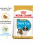 Shih Tzu Yavru Köpek Maması 1.5kg 1