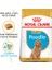 Poodle Puppy Yavru Köpek Maması 3 Kg 10