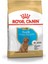 Poodle Puppy Yavru Köpek Maması 3 Kg 11