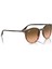 0RB2204 13953B 54 Kadın Güneş Gözlüğü 4
