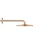 Rainshower Mono 310 Tepe Duşu Seti, 31 Cm, Bakır - 26558DA0 3