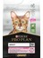 Delicate Kuzu Etli Yetişkin Kedi Maması - 1,5 Kg 2