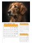 2026 Köpek Duvar Takvimi 33X48 Cm-Planlamalı Model Seçeneği ile 1
