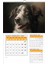 2026 Köpek Duvar Takvimi 33X48 Cm-Planlamalı Model Seçeneği ile 2