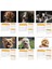 2026 Köpek Duvar Takvimi 33X48 Cm-Planlamalı Model Seçeneği ile 4