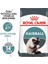 Hairball Care Tüy Yumağı Önleyici Kedi Maması 2 Kg 1
