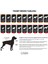 Flash Küçük, Orta ve Büyük Irk Köpek Tshirt Beden 0 5
