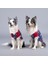 Little Sailer Küçük, Orta ve Büyük Irk Köpek Tshirt Beden 2 2