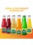 C Vitaminli Limon Aromalı Doğal Maden Suyu 200 ml x 24 Adet 8