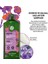 Bukle Belirginleştirici Şampuan 300 ml 3