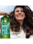 Pure Detox Detoks Etkili Sülfatsız Şampuan Yağlı Saçlar İçin Arındırıcı Şampuan 300 ml 4