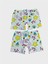 Kız Çocuk %100 Pamuklu Yeşil Yıldız Meyve Desenli 2 Li Boxer 2