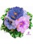 Orman Gülü Çiçeği 3D Çiçek 10CM Silikon Kalıp K-096 1