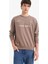 %100 Pamuk Boxy Fit Bisiklet Yaka Nakışlı Sweatshirt F0117AX25AU 1