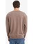 %100 Pamuk Boxy Fit Bisiklet Yaka Nakışlı Sweatshirt F0117AX25AU 4