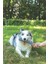 Örgü Köpek Oyuncağı Gri 34 cm 2