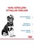 Maxi Puppy Büyük Irk Yavru Köpek Maması 15 Kg. 4