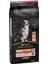 ProPlan Somonlu Hassas Yaşlı Kuru Köpek Maması 14 Kg 1