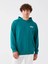 Lcw Casual Yeşil Uzun Kollu Baskılı Erkek Hoodie 2
