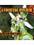 Linkin Park - Reanimation - Plak 1