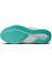 Air Zoom Pegasus 41 Gore-Tex HM8872-600 2