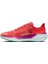 Air Zoom Pegasus 41 Gore-Tex HM8872-600 3