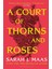 A Court of Thorns and Roses - Sarah J. Maas 2