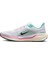 Air Zoom Pegasus 41 HM3703-161 3