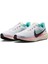 Air Zoom Pegasus 41 HM3703-161 4