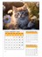 2026 Kedi Duvar TAKVİMİ-33X48 cm Ebat- Planlama Seçeneği Ile Birlikte 1