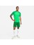 Dri-Fit League 3 Erkek Yeşil Şort 3