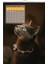 2026 Kedi / Cat Duvar Takvimi / 33X48 CM 1