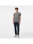 Erkek Gri Regular Fit T-Shirt V55239T.0PG 3