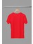 Lımoncello Baskılı / Kadın Çok Renkli T-Shirt %100 Pamuk Regular Fıt Rahat Kalıp 3