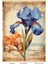 Irıs Serisi IRIS10 Iris, Zambak, Çiçek Desenli 30*42 cm Pirinç Dekopaj 1