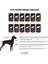 Flex Honey Pie Küçük ve Orta Irk Köpek Tshirt Beden 2 5