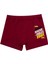 Erkek Çocuk Boxer 3'lü Baskılı (%96 Pamuk - %4 Elastan) 4