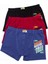 Erkek Çocuk Boxer 3'lü Baskılı (%96 Pamuk - %4 Elastan) 6