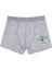Erkek Çocuk Boxer 3'lü Baskılı (%96 Pamuk - %4 Elastan) 4