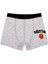 Erkek Çocuk Boxer 3'lü Baskılı (%96 Pamuk - %4 Elastan) 2