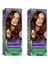 Naturals Saç Boyası Altın Kestane 5/73 2x Paket 1