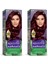 Naturals Saç Boyası Kızıl Viyole 4/6 2x Paket 1